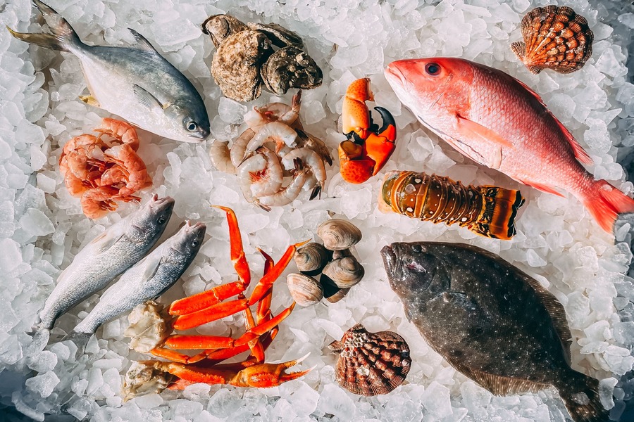 The Seafood Feast of the English&nbsp;Riviera